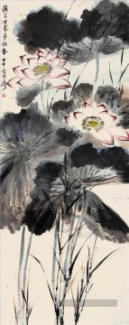 Chang Dai chien Lotus 9 encre de Chine ancienne Peinture à l'huile